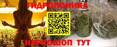 бошки Новозыбков
