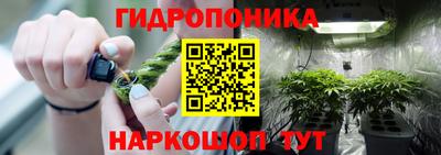 MESCALINE Новодвинск