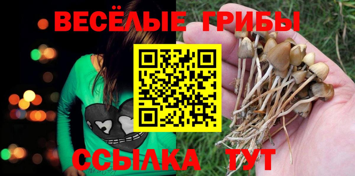 Псилоцибиновые грибы GOLDEN TEACHER  Вход с VPN  Сочи 